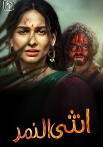 Багин, Сезон 1