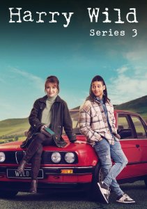 Харри Уайлд, Сезон 3