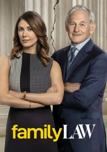 Семейная юрфирма, Сезон 1